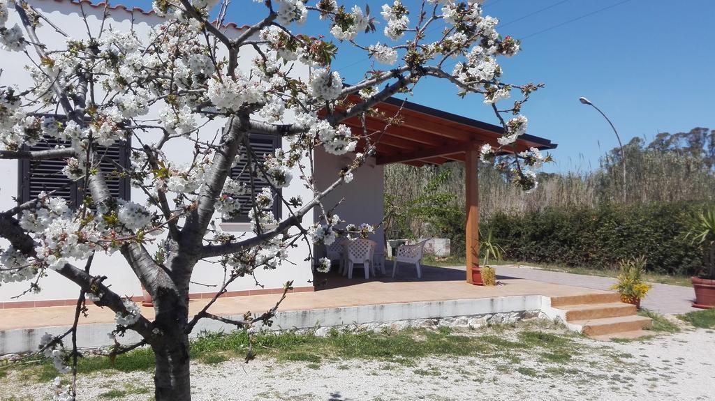 B&B Arcafelice Termoli Ngoại thất bức ảnh